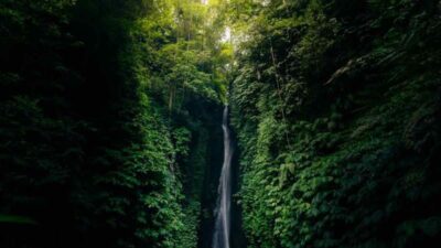 Ubud Bali, Surganya Pulau Dewata